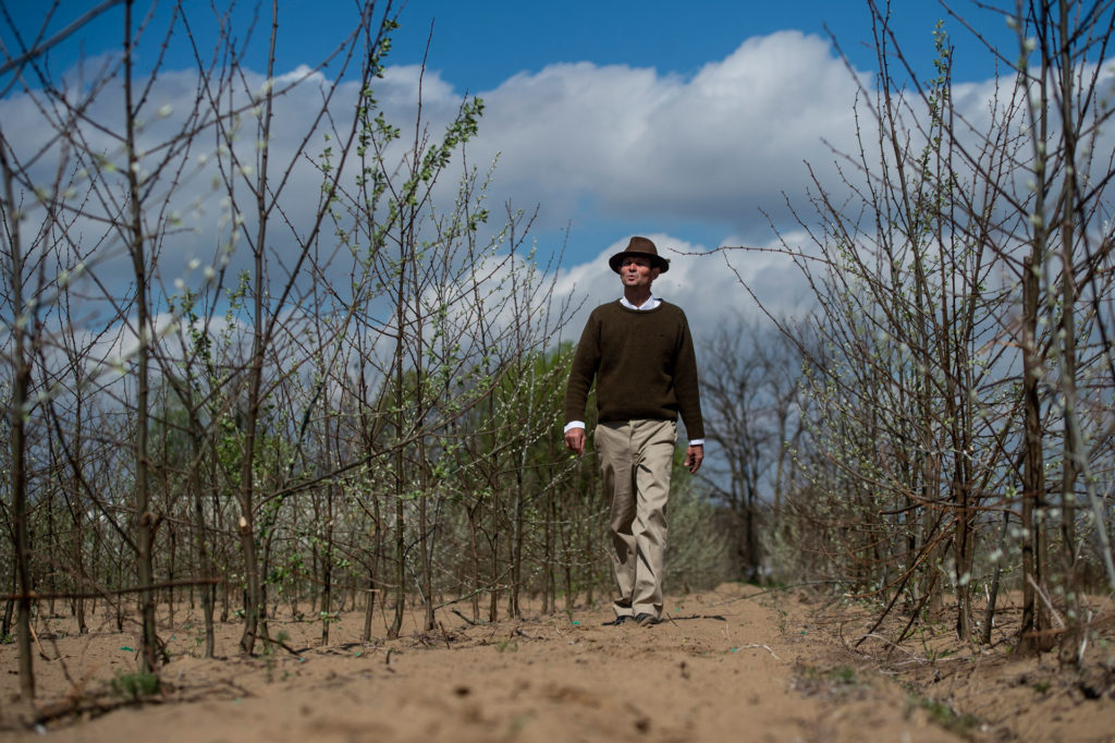 klímaválság hőség tűzvészek erdőtűz