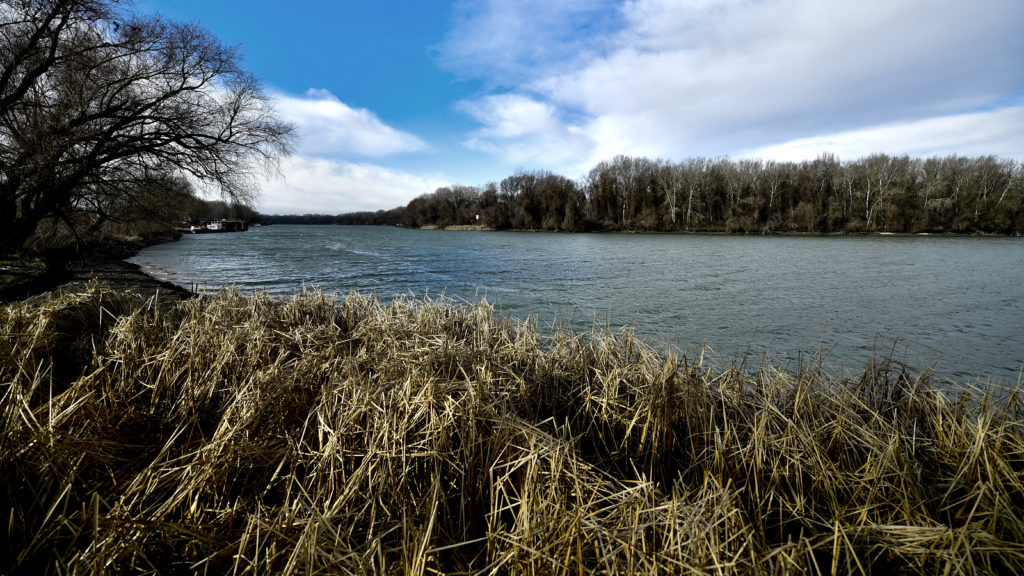 A Tisza a Tiszafüredhez tartozó Tiszaörvénynél 2020. január 29-én