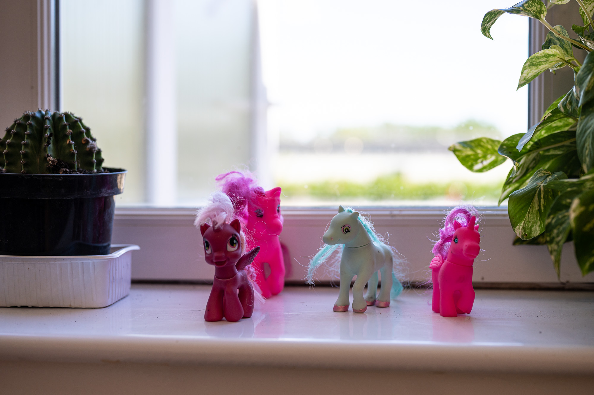 A vecsési Új Esély központ