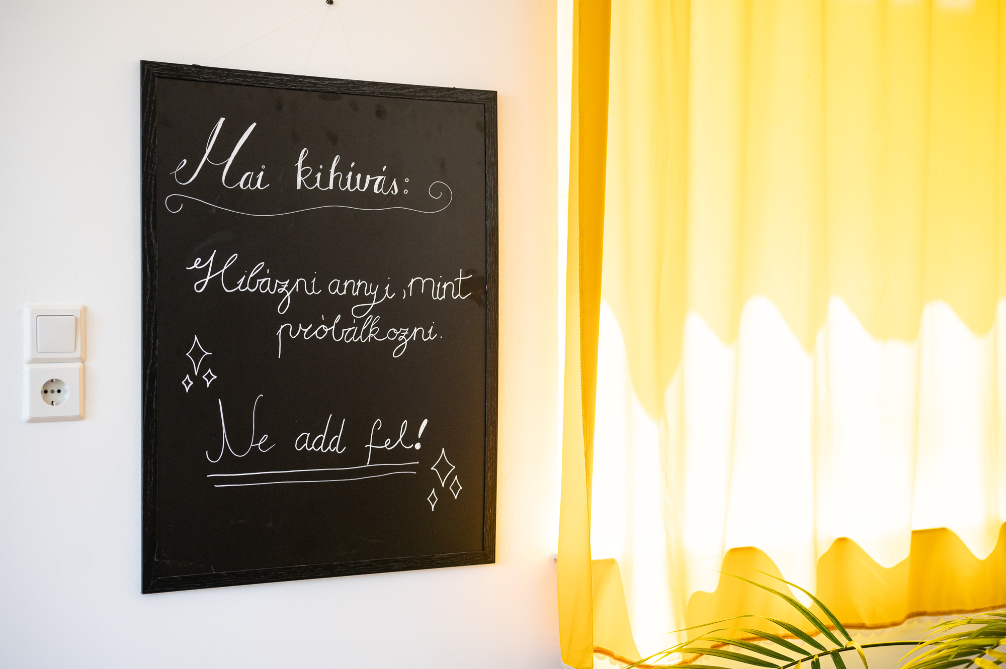 A vecsési Új Esély központ