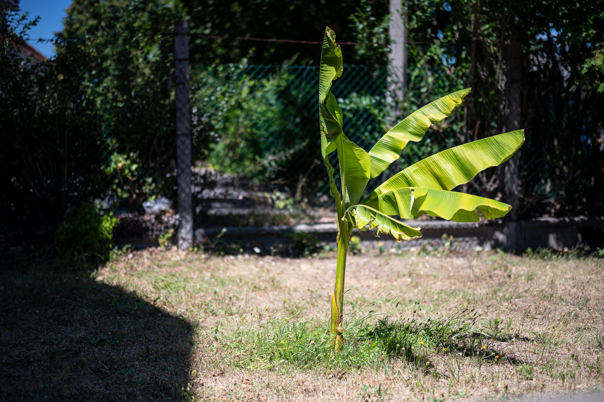 A vecsési Új Esély központ