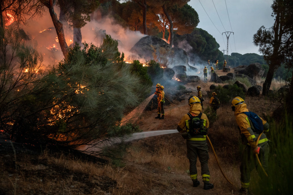 klímaválság hőség tűzvészek erdőtűz