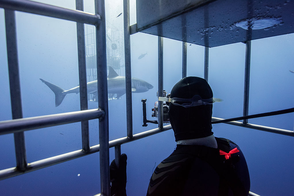 cápa Ryan Johnson interjú national geographic