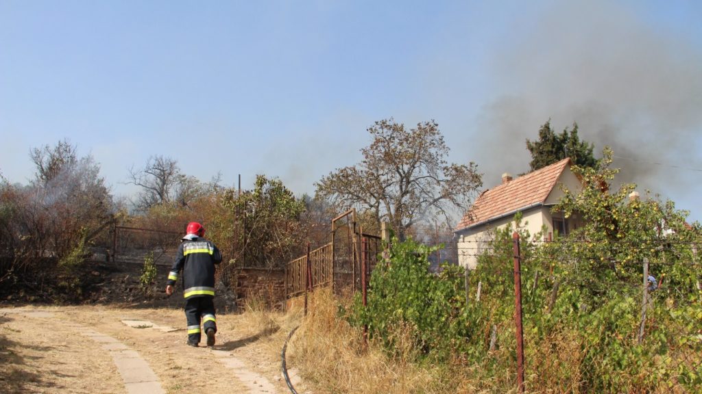 Bozóttűz Pécsnél