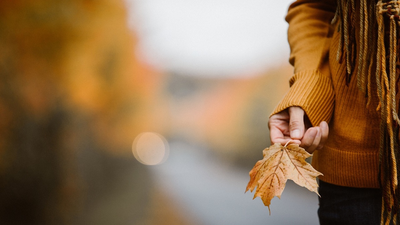 Csillagjegyek és a szeptember