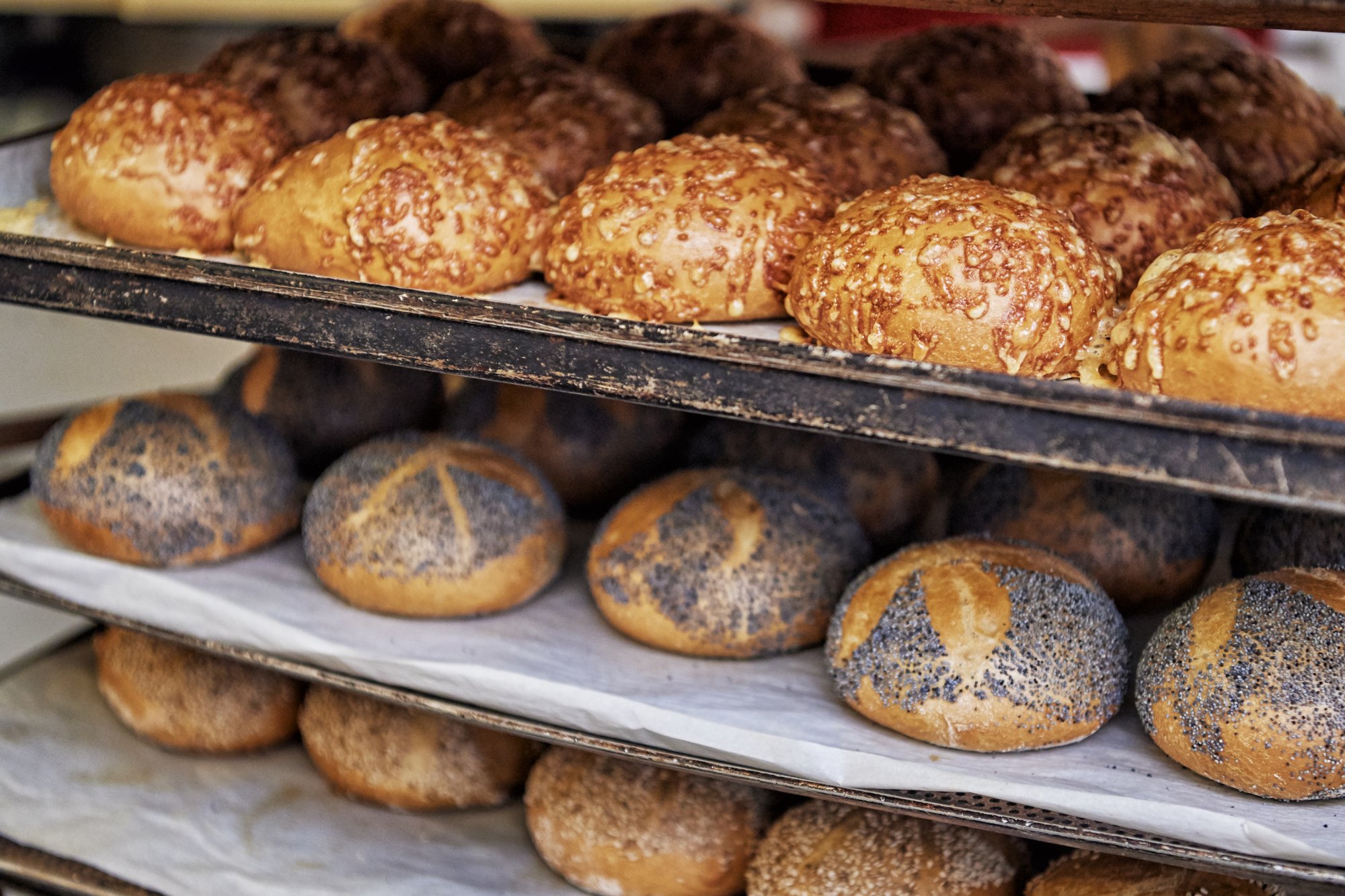 Különböző német kenyerek