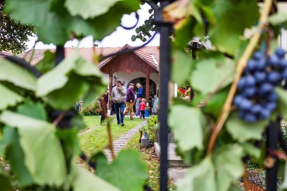 Kerekdomb Fesztivál – indítsd az őszt fesztiválozással!