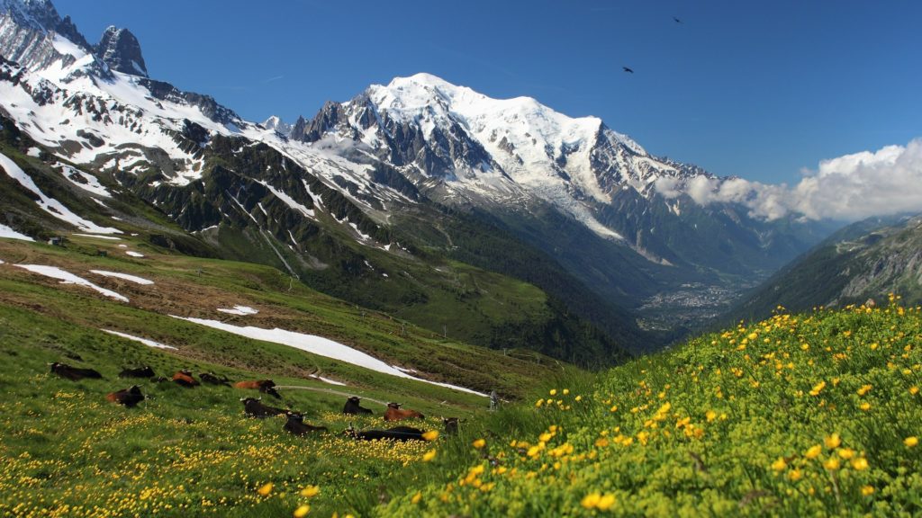 Mont Blanc