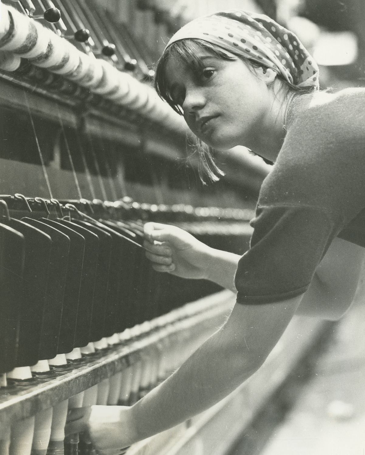 Adj király katonát!