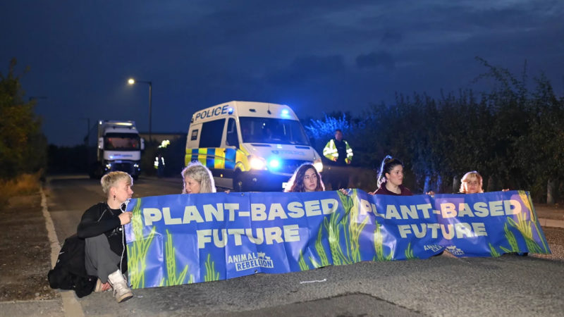 Vegán tüntetők Angliában