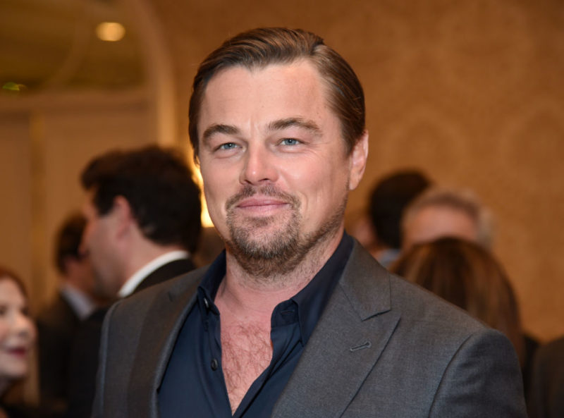 Leonardo DiCaprio 