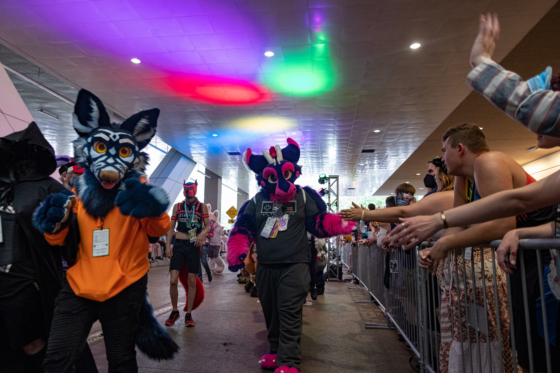 furry emberszabású cosplay rajongás jelmez