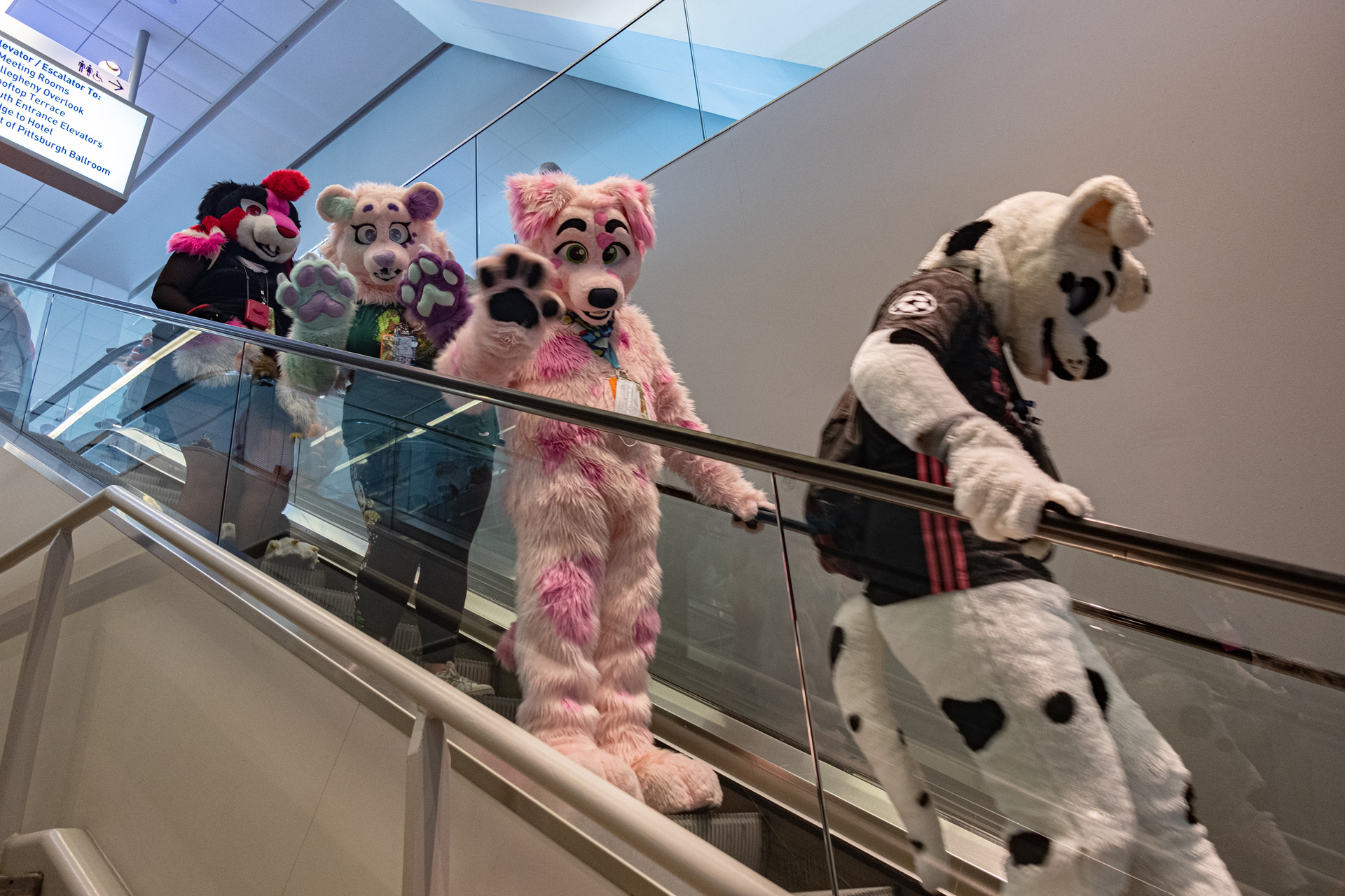 furry emberszabású cosplay rajongás jelmez