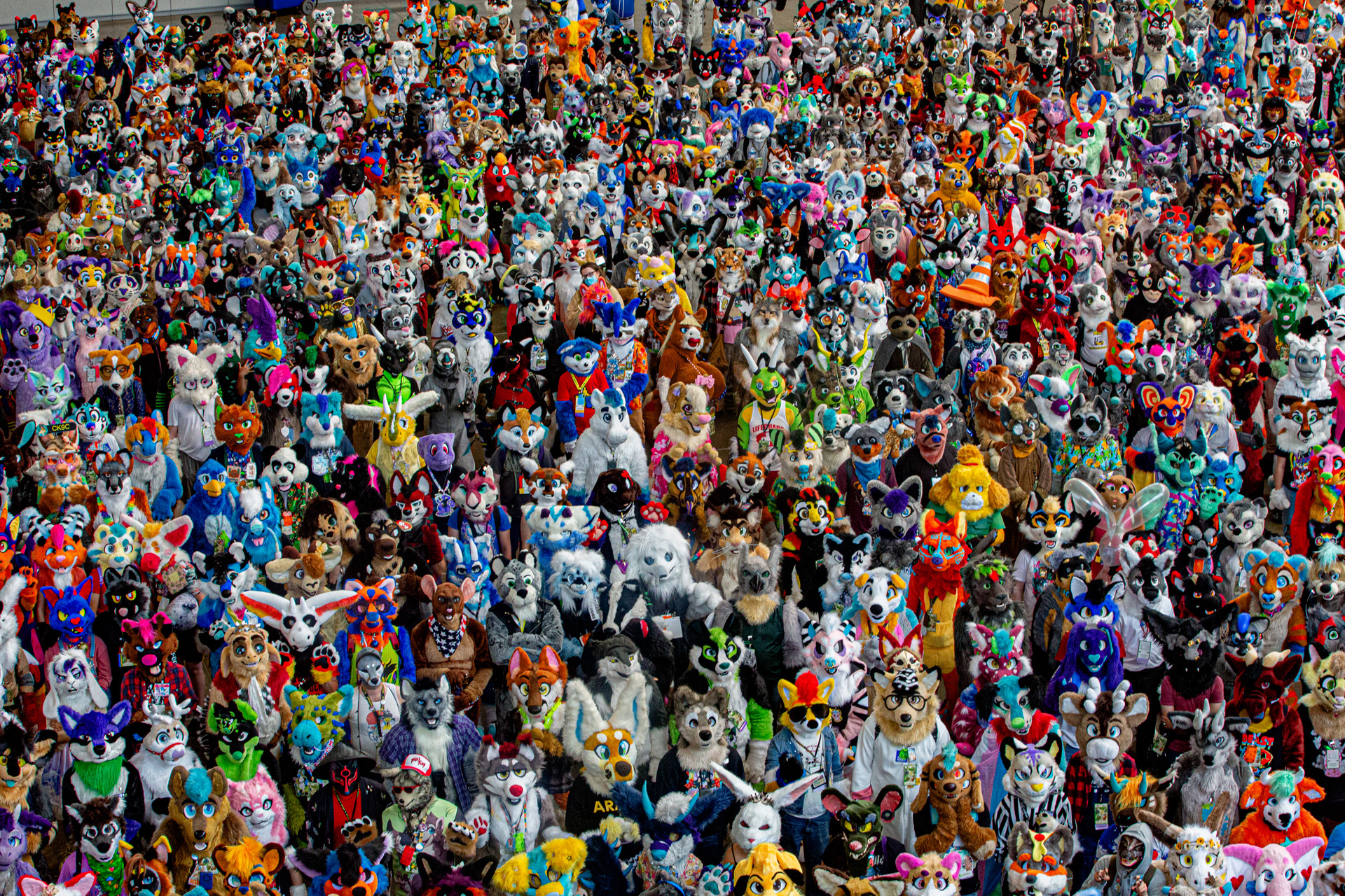 furry emberszabású cosplay rajongás jelmez