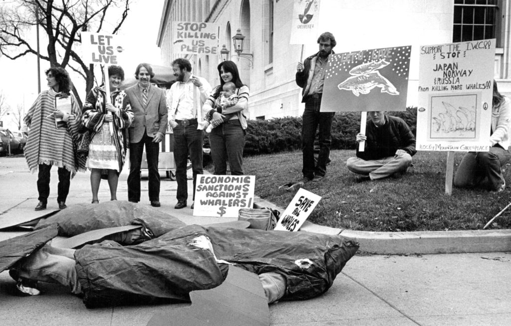 Greenpeace bálnavadászat elleni tiltakozás