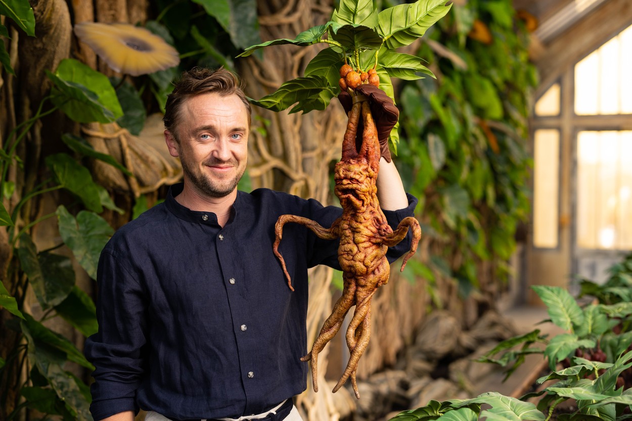 Tom Felton 35 évesen