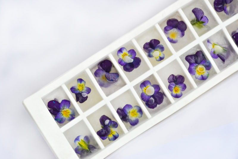 Ehető virágok lefagyasztva