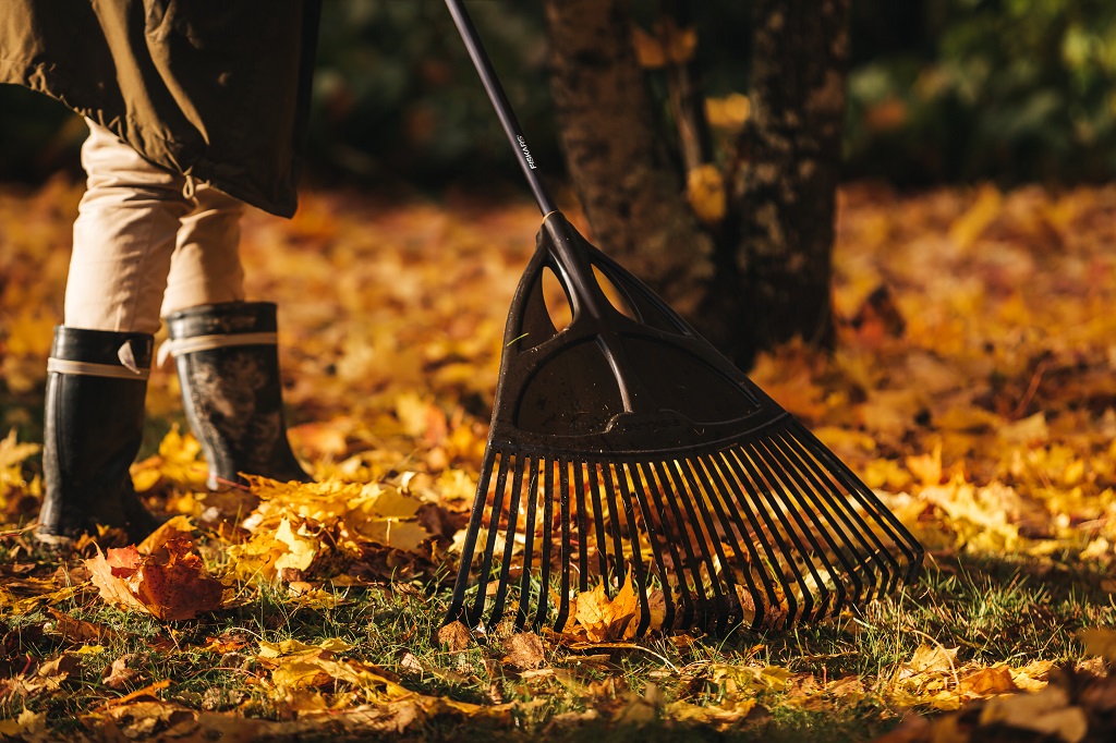 A lombhullás hetekig tartó munkát ad a kertben - használj jó szerszámot hozzá! (fotó: FISKARS)