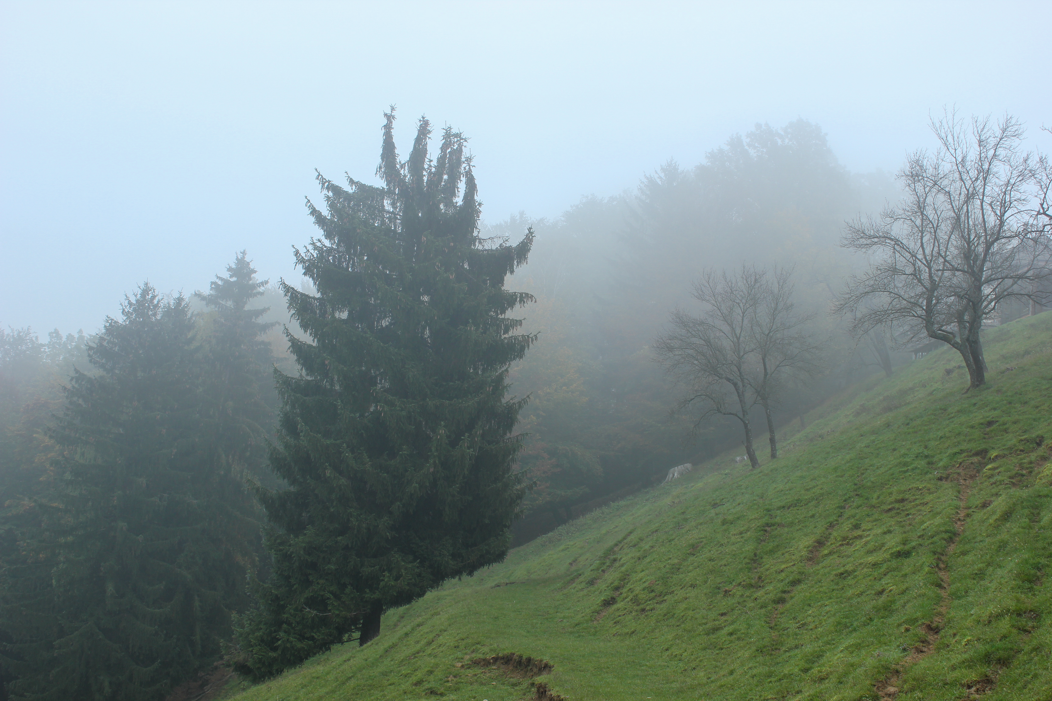 Fotó: Farkas E. Lina