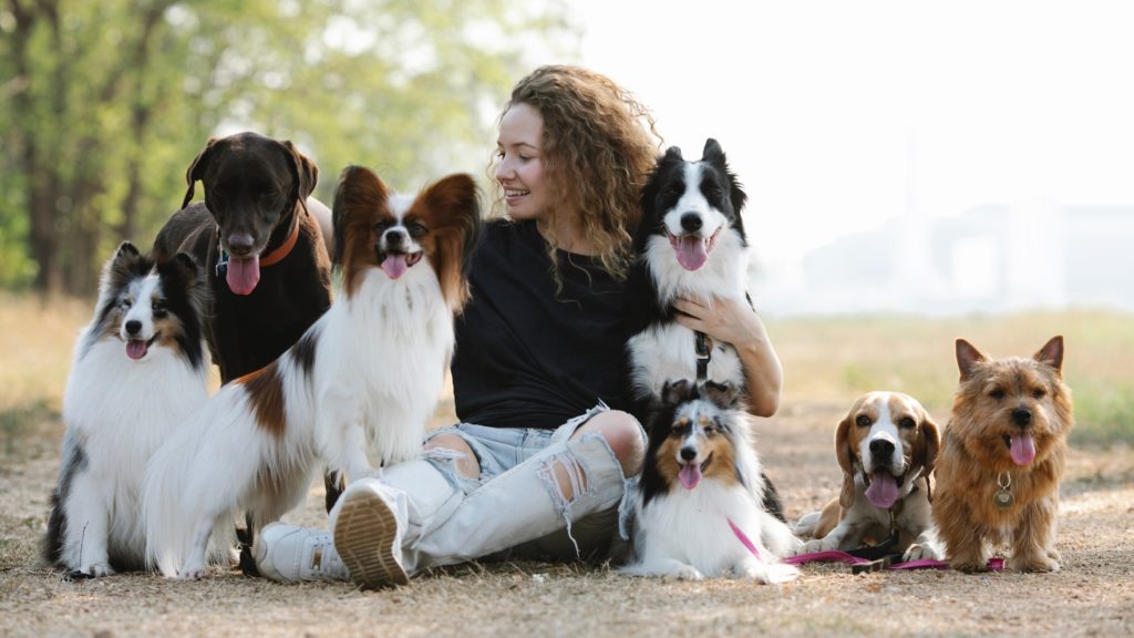 Egy nő ül a földön kutyákkal körülvéve