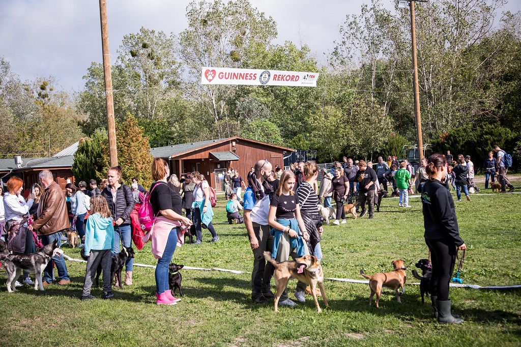 Rex Kutyaotthon: „A folyamatos költségnövekedés rendkívül nehéz feladat elé állít minket." – idén is állatmenhelyet támogat a MARS