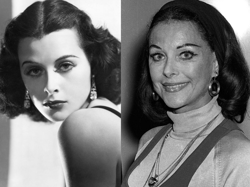 Hollywoodi plasztikák