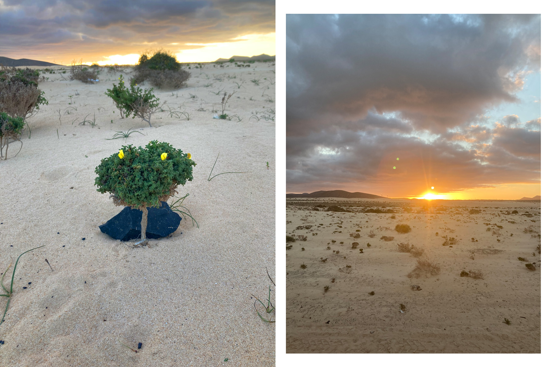 Corralejo Natural Park