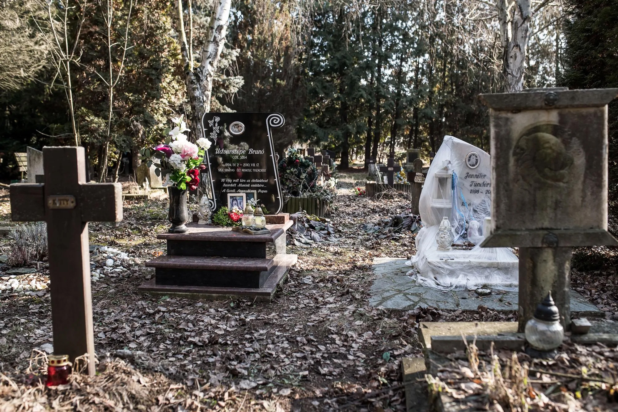 Fotó: Neményi Márton