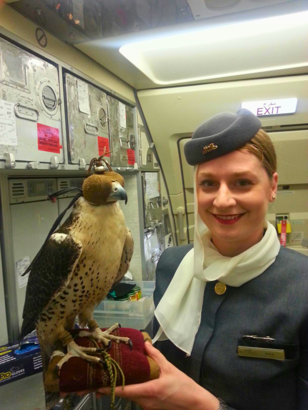 Fotó: Hadházi Anita