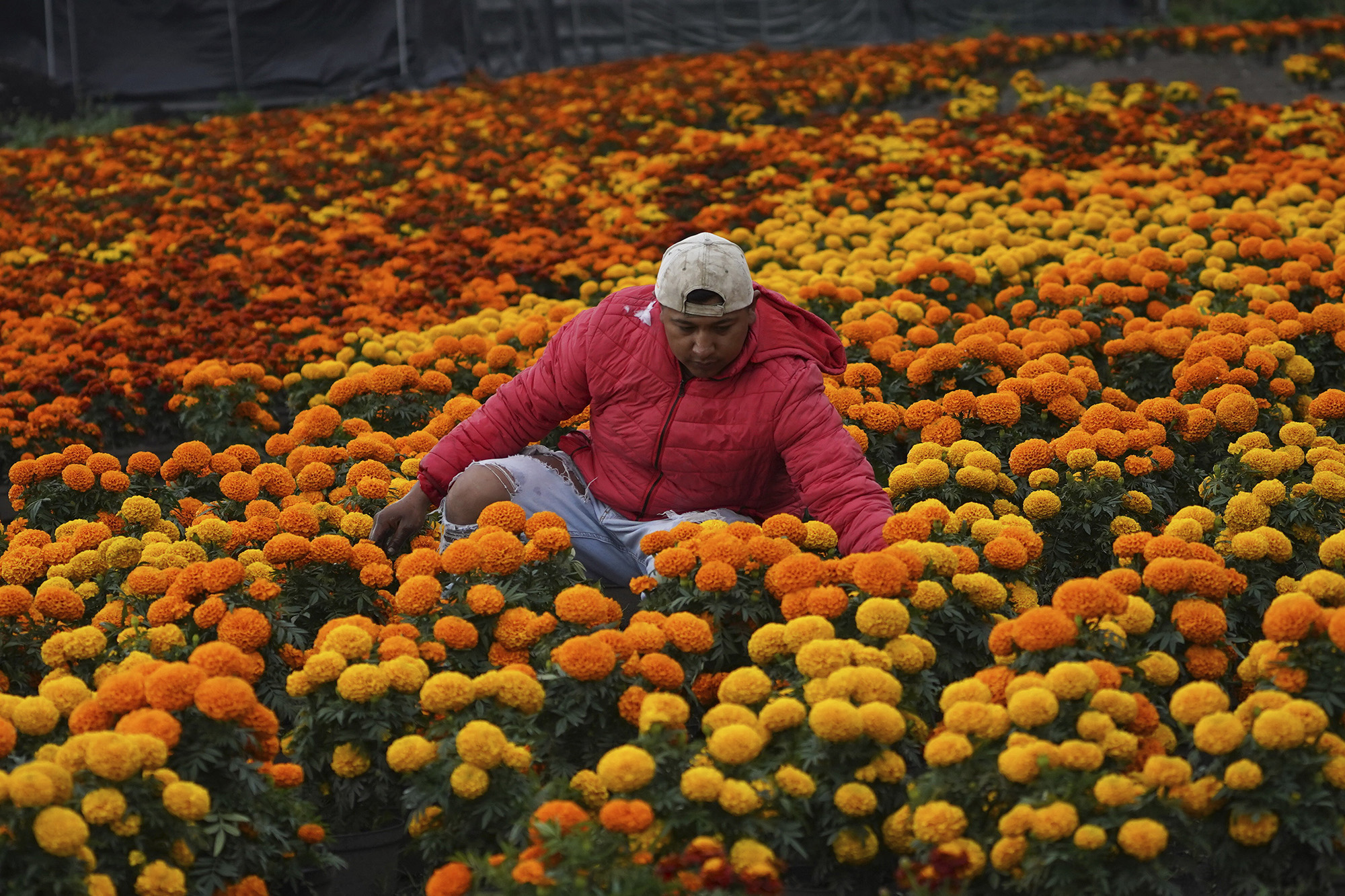 Fotó: MTI/AP/Marco Ugarte