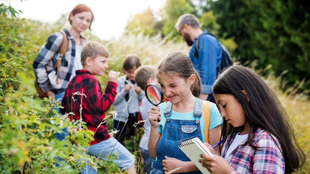 Ökonevelés az iskolákban: életre szóló szokásokat alakít ki a gyerekekben