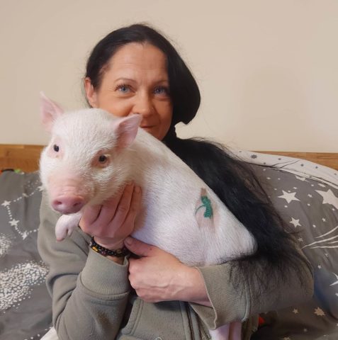 Hihetetlen malaca volt Zsolinak, az nlc szilveszteri szerencsemalackájának - képek