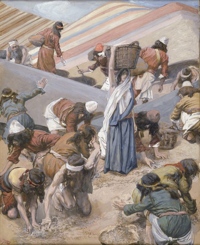 Forrás: James Tissot - Mannaszedés, Public domain, via Wikimedia Commons