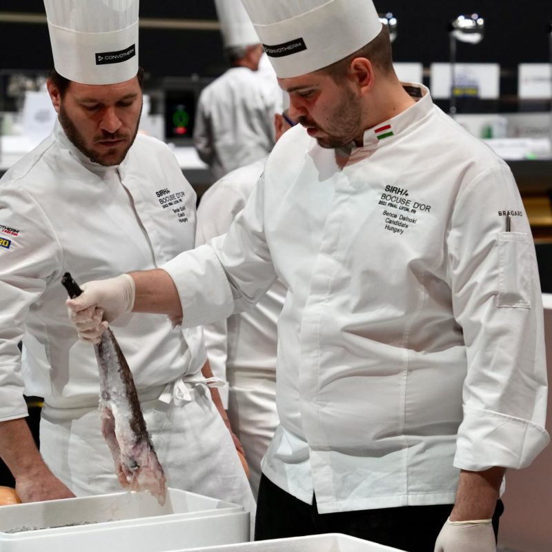 A 2023-as Bocuse d'Or Grand Final versenyételei