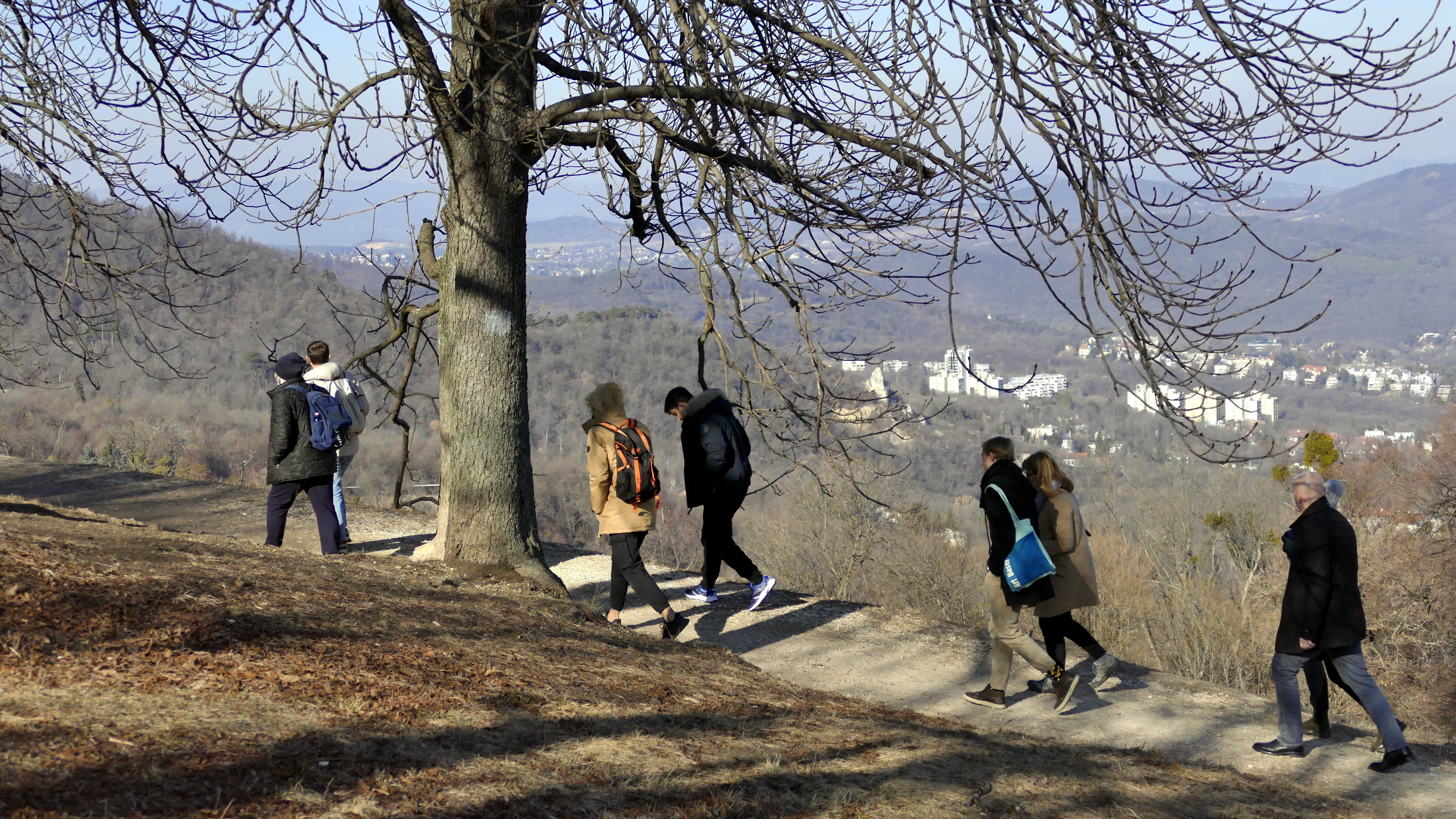 Kirándulók, természetjárók az erdő jelzett turistaútján a Normafánál