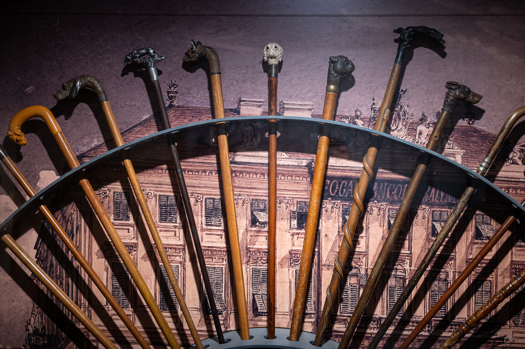 VAU! A fővárosi kutyatartás kultúrtörténete