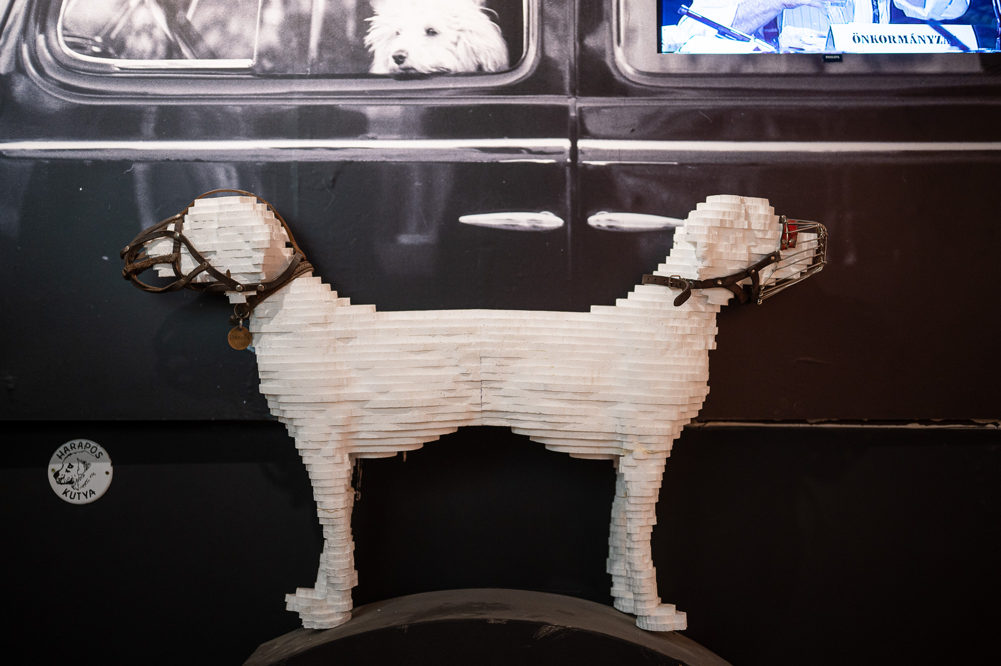 VAU! A fővárosi kutyatartás kultúrtörténete