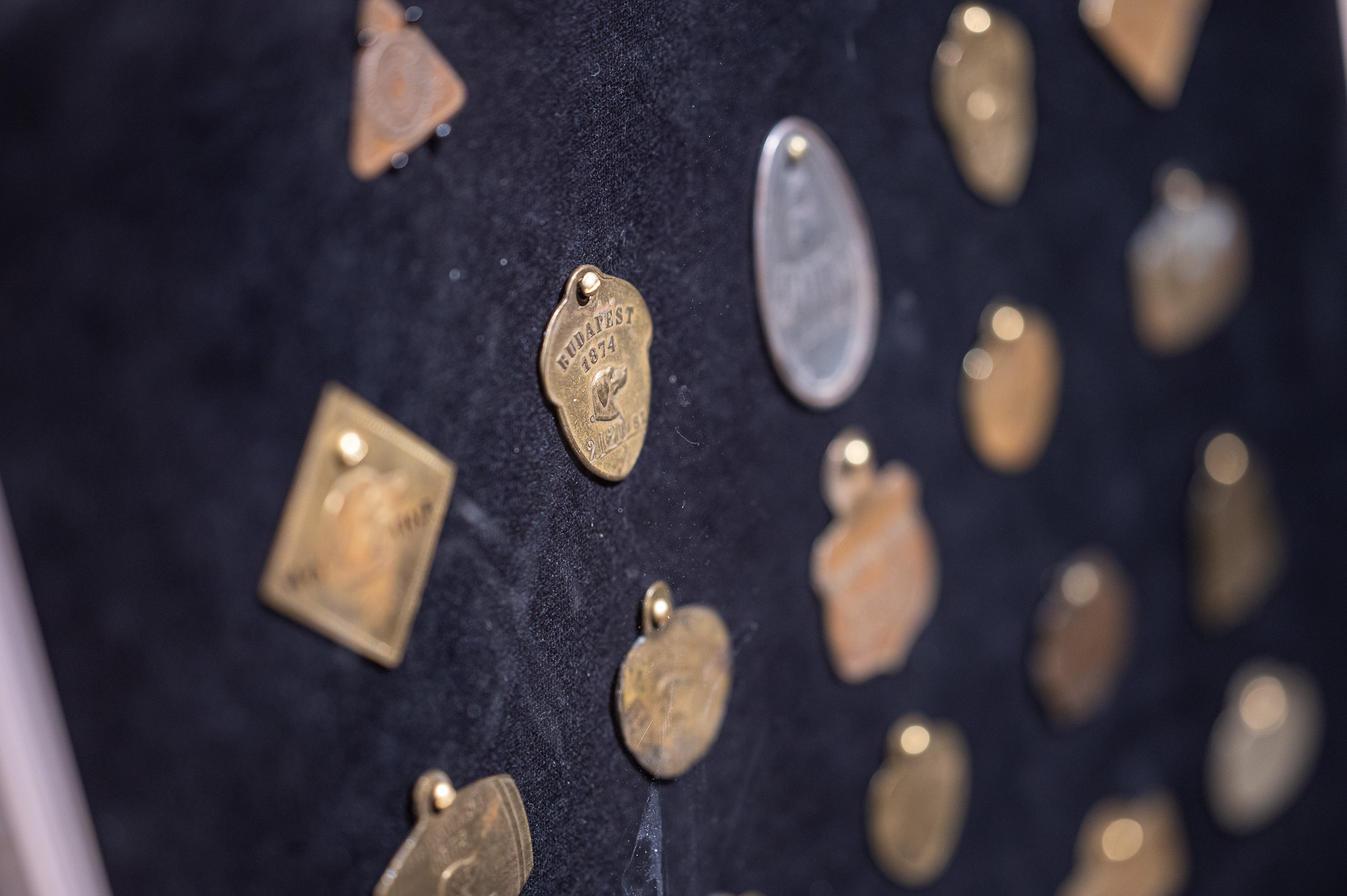 VAU! A fővárosi kutyatartás kultúrtörténete