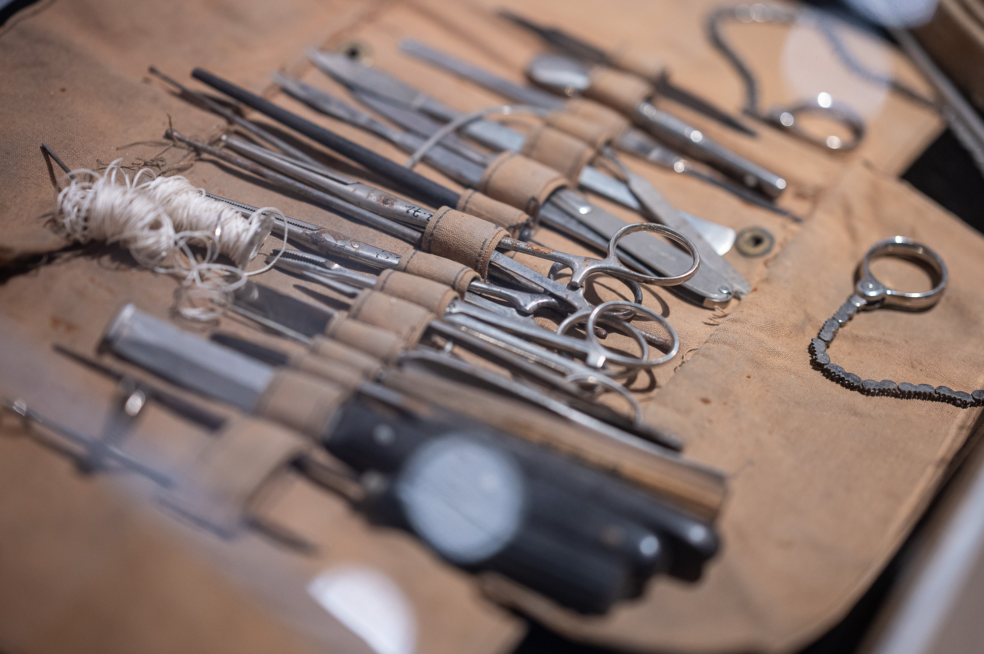 VAU! A fővárosi kutyatartás kultúrtörténete