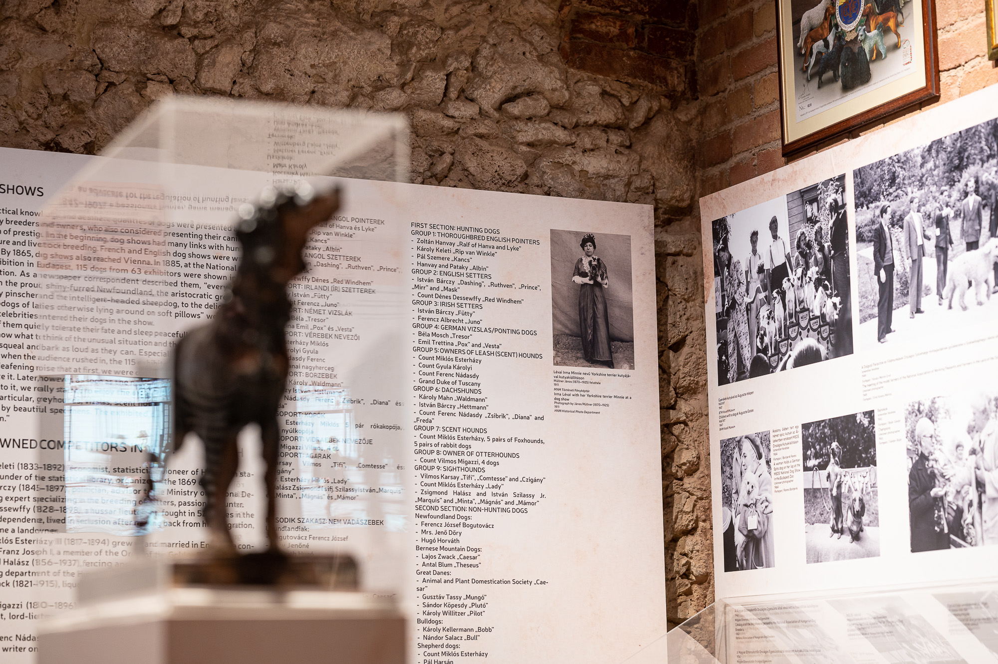 VAU! A fővárosi kutyatartás kultúrtörténete