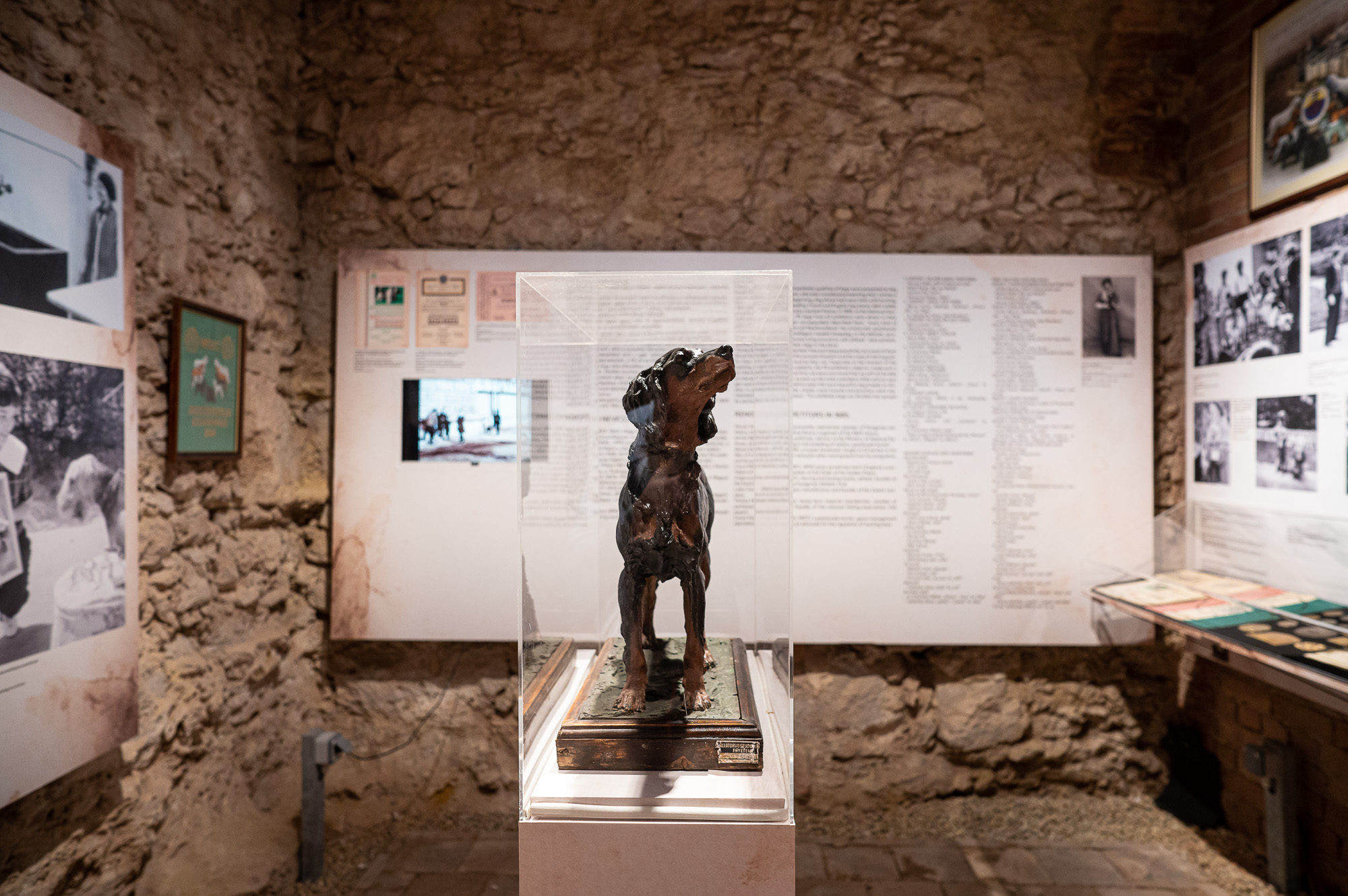 VAU! A fővárosi kutyatartás kultúrtörténete