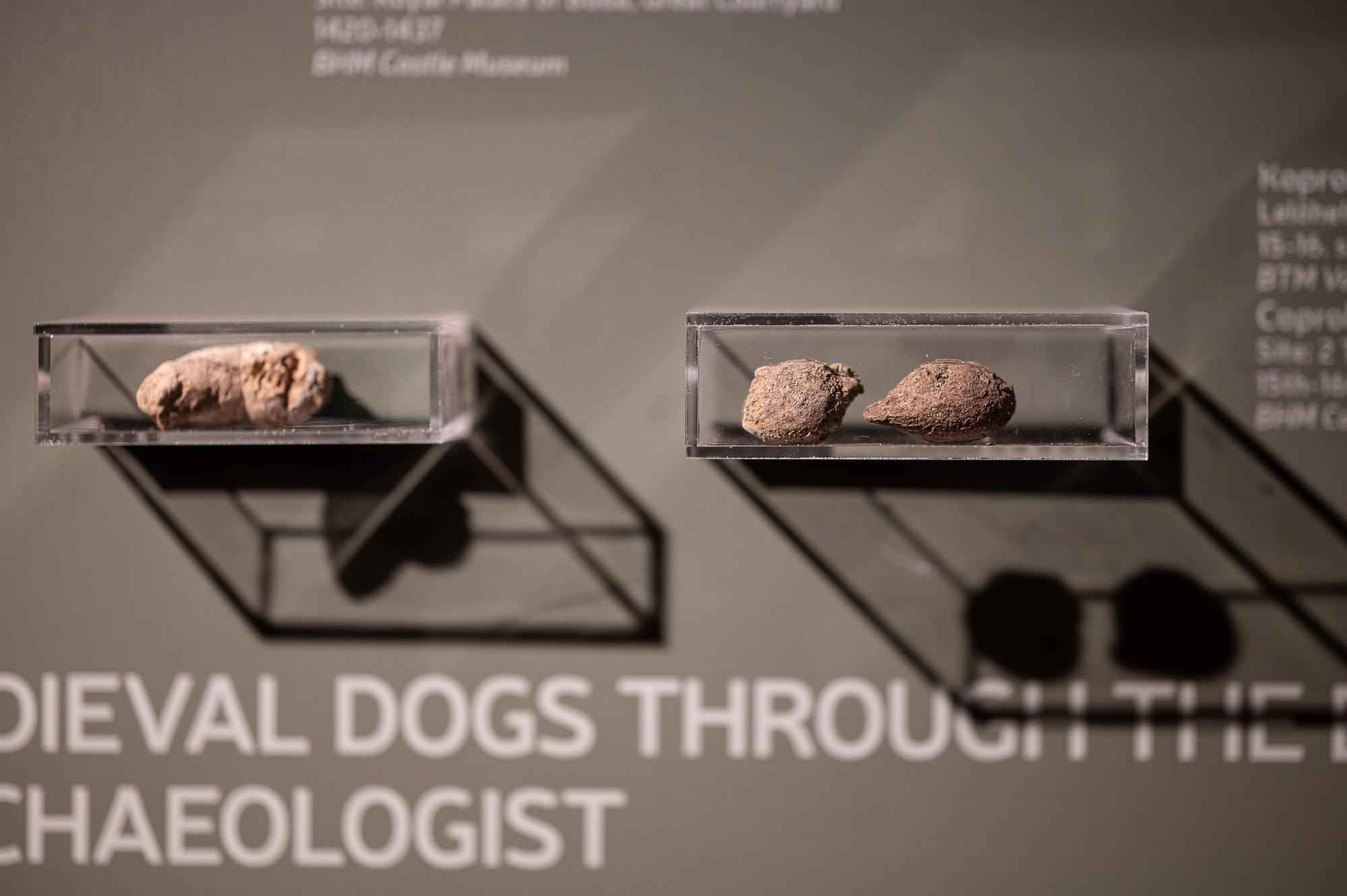 VAU! A fővárosi kutyatartás kultúrtörténete