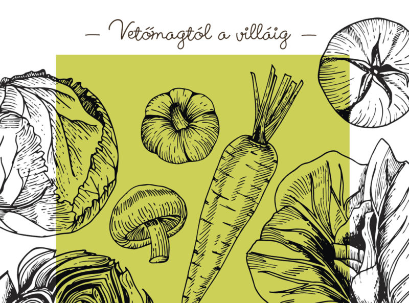 Vetőmagtól a villáig: háztáji gazdálkodás a kapálás nélküli kerttől az RFID-chipes tyúkokig