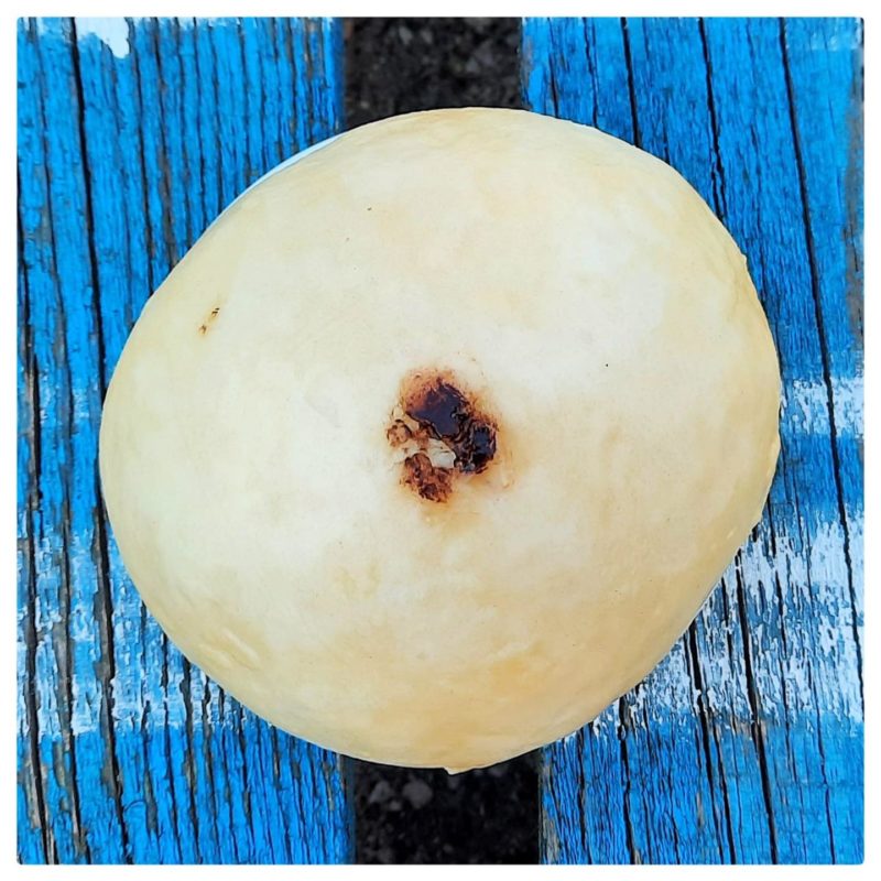 Érdekes kompozíció / Fotó: a másik bolt