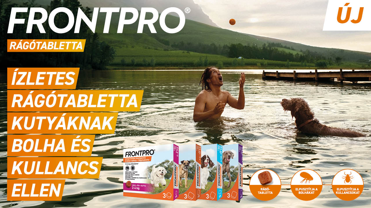 Odaadó szeretet és megfelelő biztonság: FRONTPRO® rágótabletta