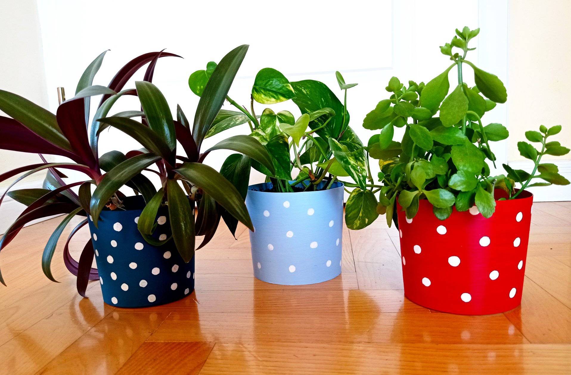 Tejfölös dobozból kaspó