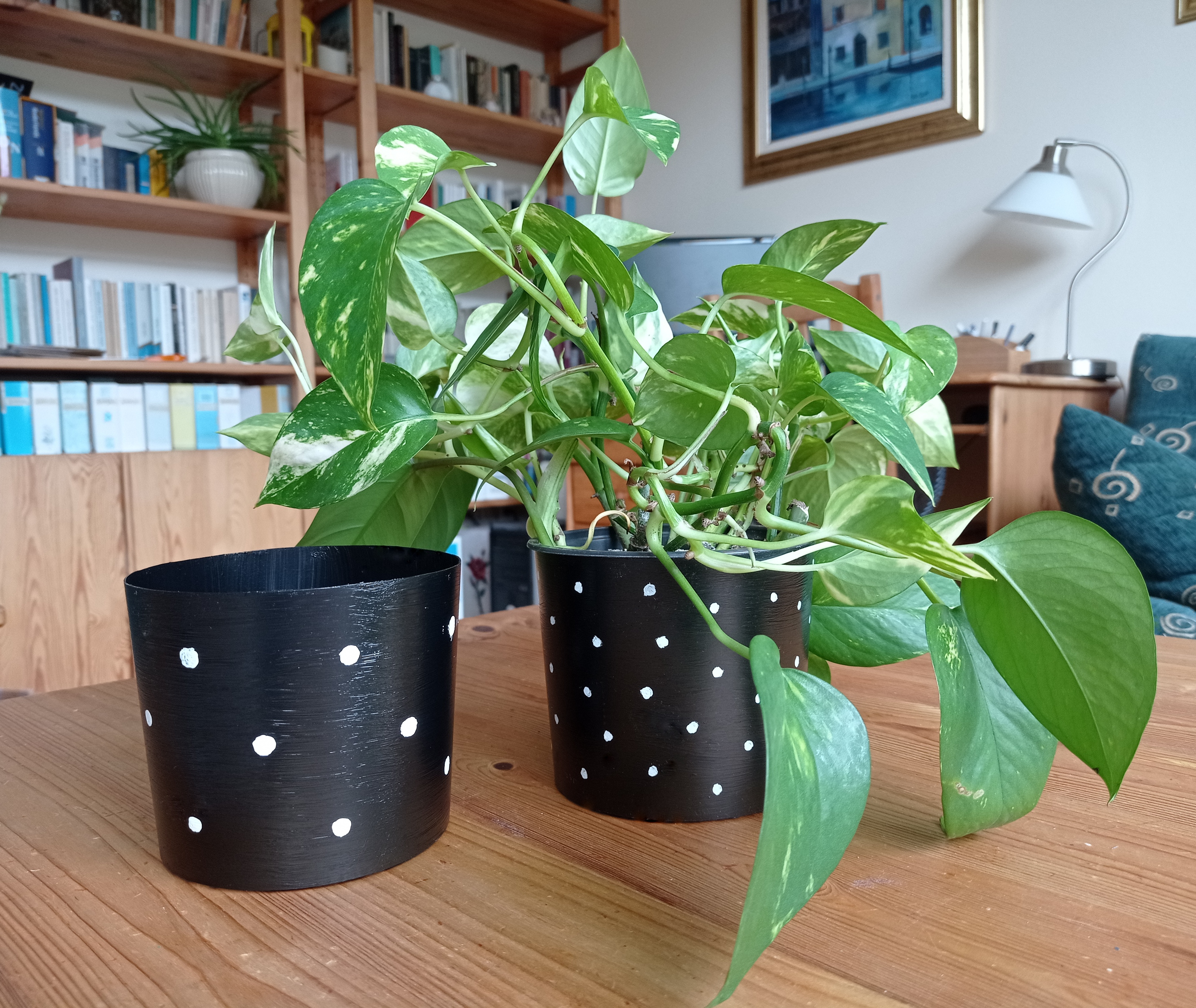 Tejfölös dobozból kaspó