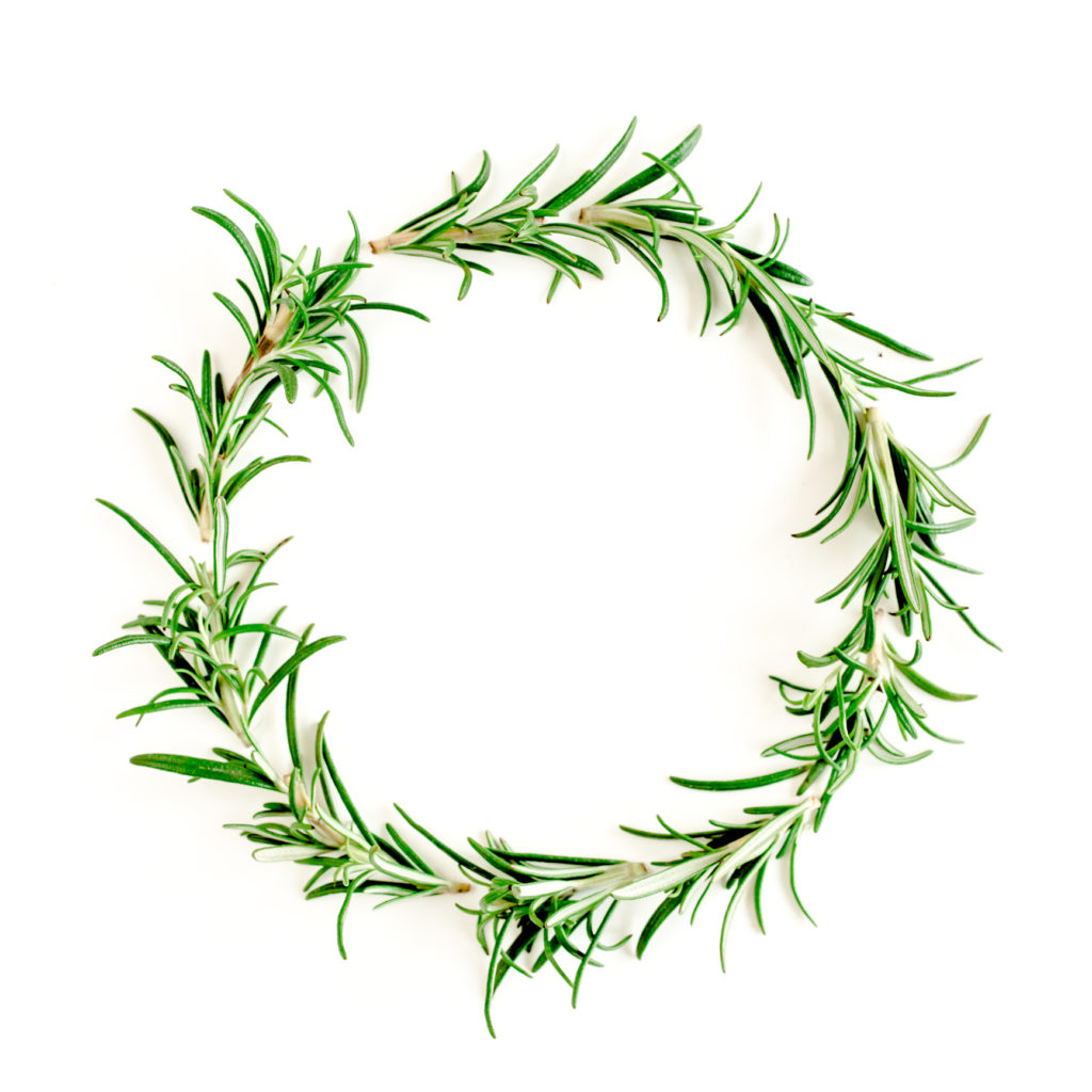 Koszorú friss rozmaringágakból