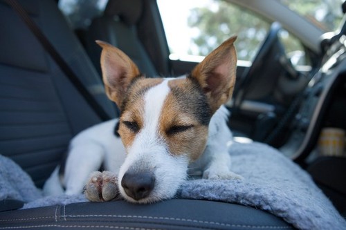 Fő a biztonság és a kellemes élmény. Fotó: Profimedia