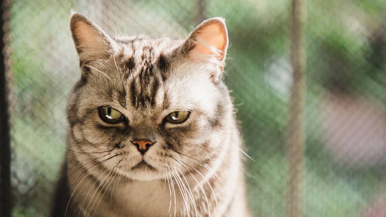 Csillagjegyek, akik kegyetlenek